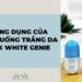 Viên uống trắng da Max White Genie và những công dụng bạn không thể bỏ qua