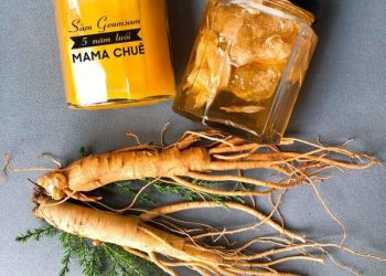 Sâm nghệ mật ong là gì?