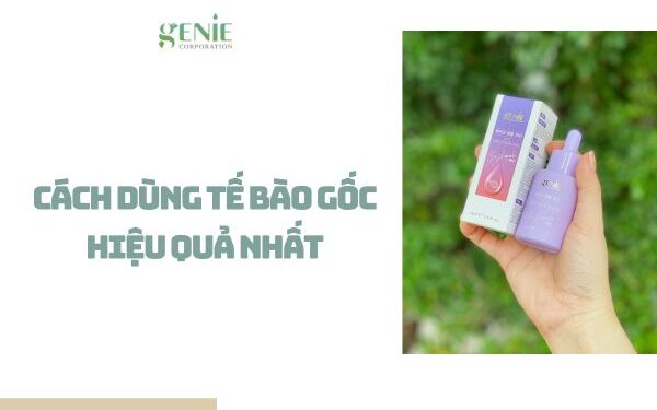 Cách dùng tế bào gốc hiệu quả cho da mặt tại nhà